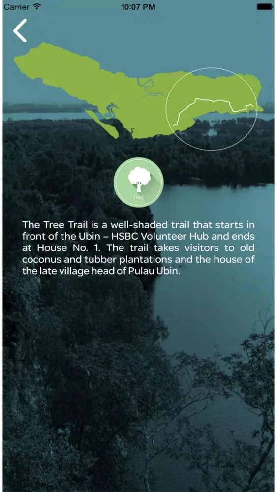 تصاویر Naturing Ubin