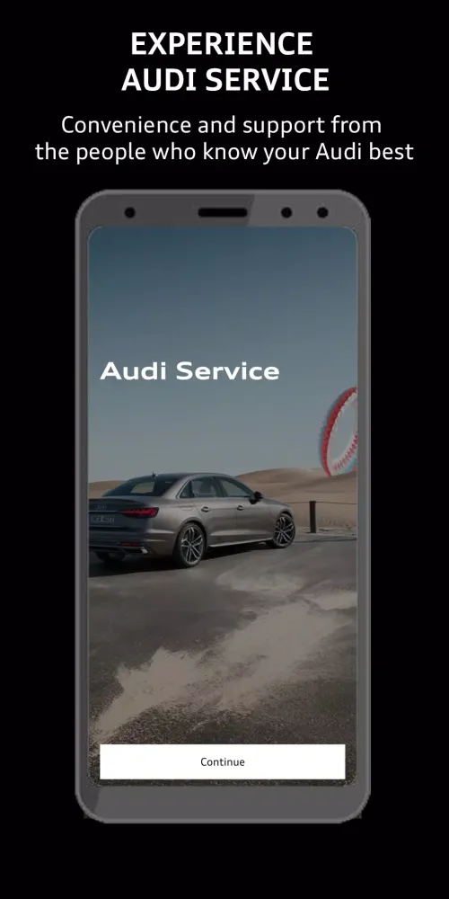 Screenshot di Audi Service SG