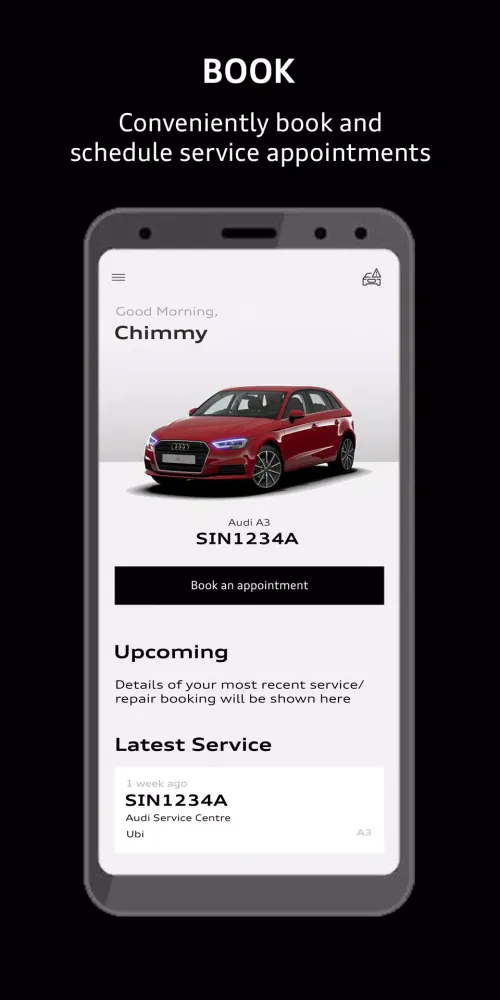 Screenshot di Audi Service SG