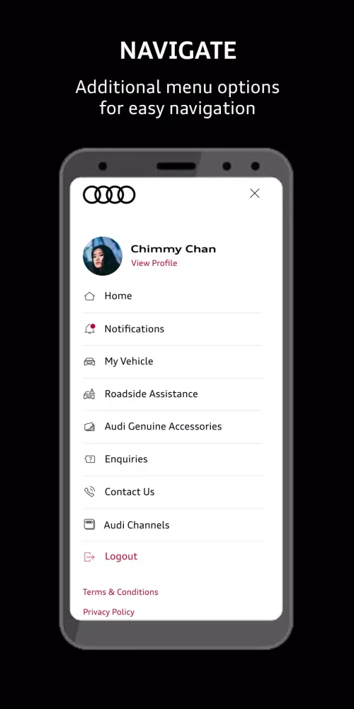 Screenshot di Audi Service SG