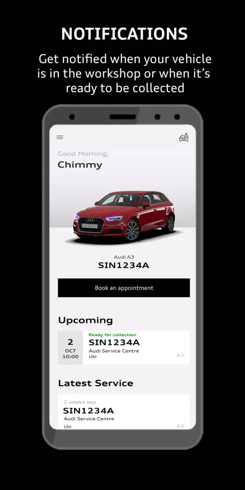 Screenshot di Audi Service SG