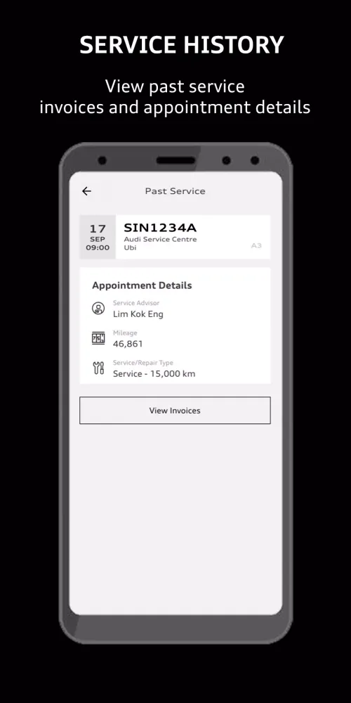 Screenshot di Audi Service SG