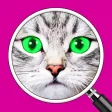 What's the Photo? ~ Free Close up Game Quiz