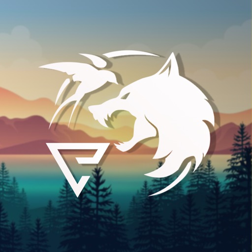 Відьмак. Останнє бажання