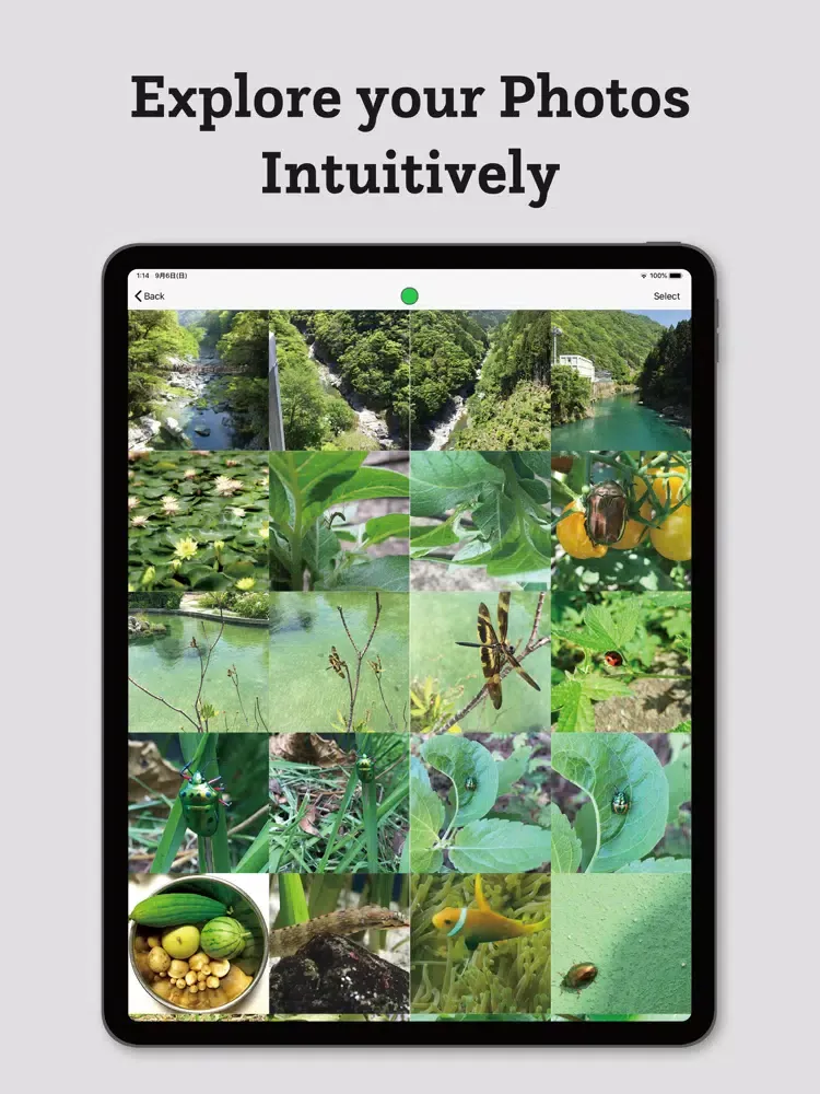 ByColor-sort photos by color iPad  Screenshots