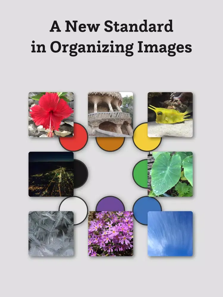 ByColor-sort photos by color iPad  Screenshots