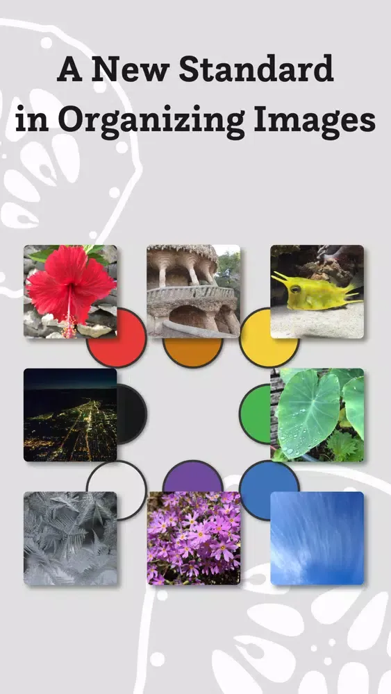 ByColor-sort photos by color Screenshots