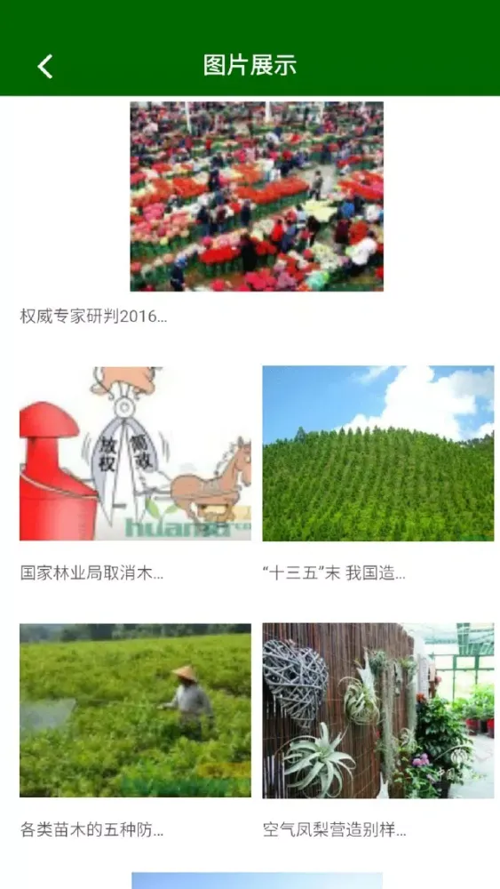 Capturas de pantalla de 上海绿地APP