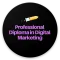 Digital Marketing PracticeTest