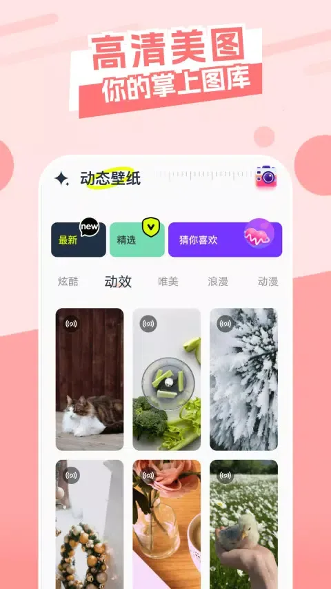 Скриншоты 主题库