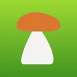 My Mushroom Locations