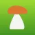 My Mushroom Locations