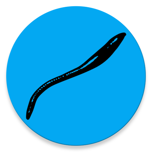 Nzb Leech