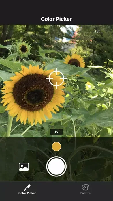 Color Picker - Colorful Picker स्क्रीनशॉट