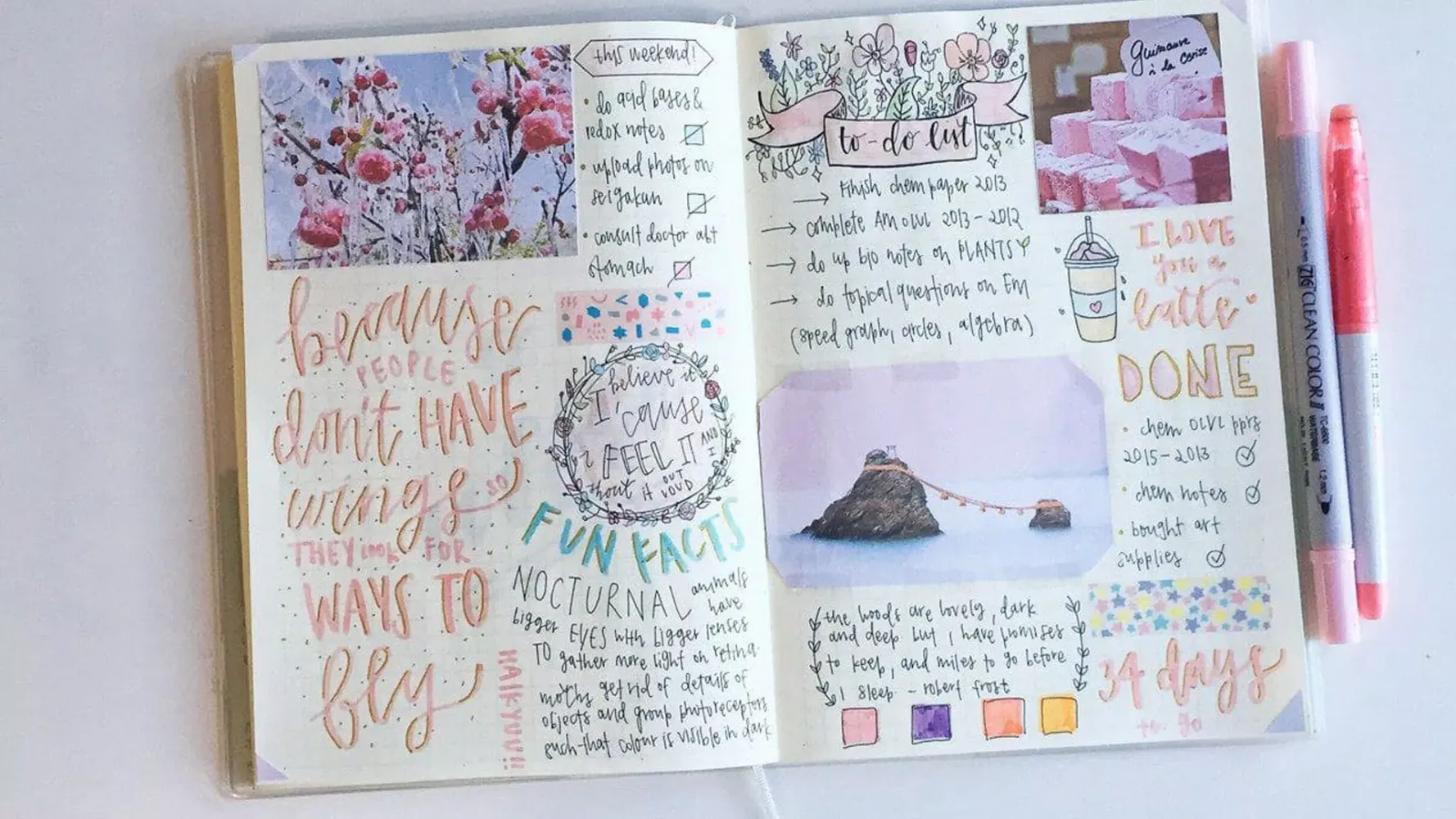 How to make a personal diary Screenshots