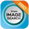 search by image on web