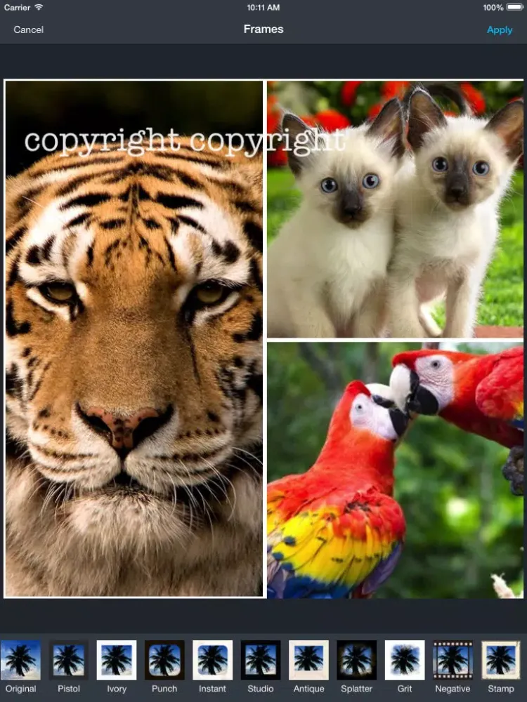 Pic Joiner & Sticher - Collage, Watermark & Photo Editor Effects iPad  स्क्रीनशॉट
