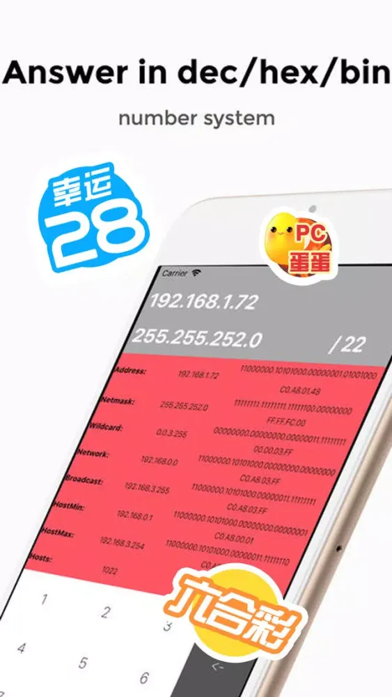 Screenshot di IP Calculator professional