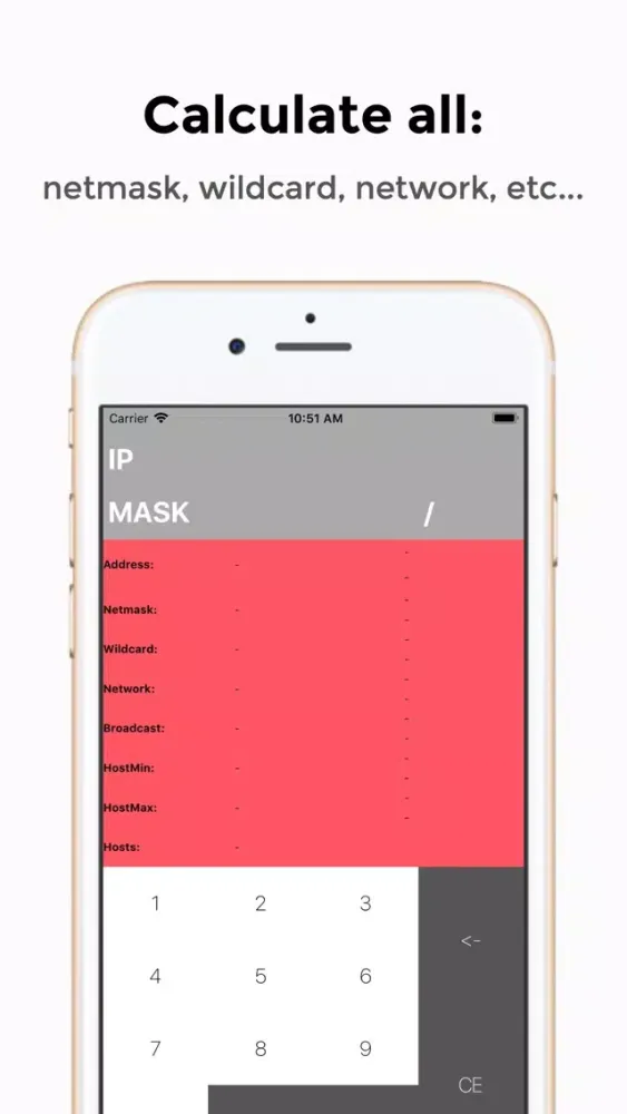 Screenshot di IP Calculator professional
