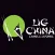 Lig China Delivery