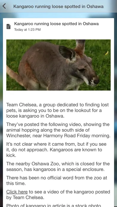 Capturas de tela do Durham Radio News App