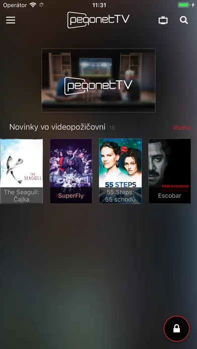 Скриншоты pegonetTV