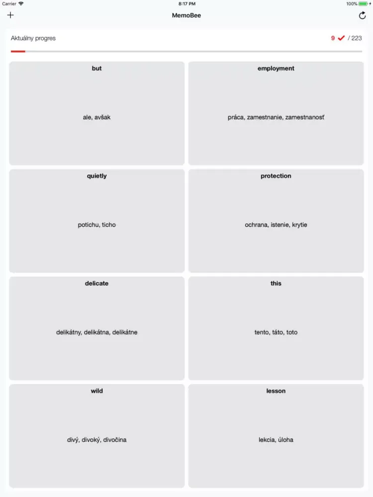 ภาพหน้าจอของ MemoBee iPad 