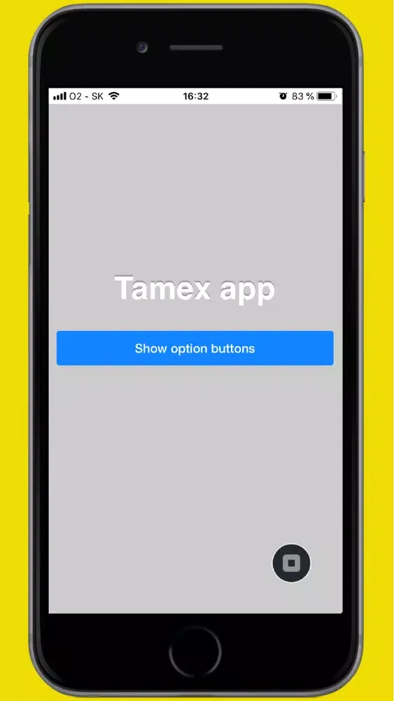 Capturas de pantalla de Bratislava Tamex Taxi