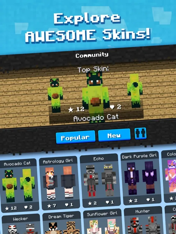 صور Skin Craft for Minecraft Skins iPad 