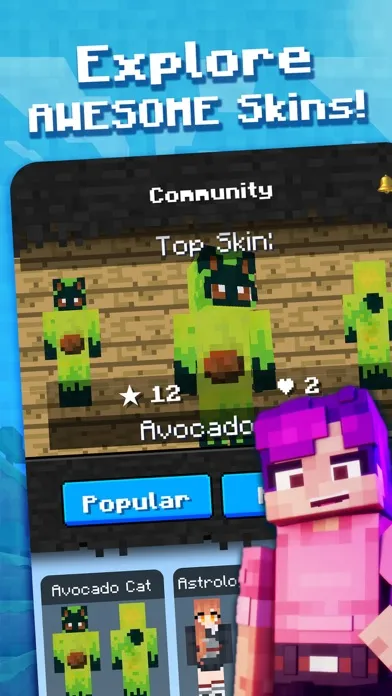 صور Skin Craft for Minecraft Skins