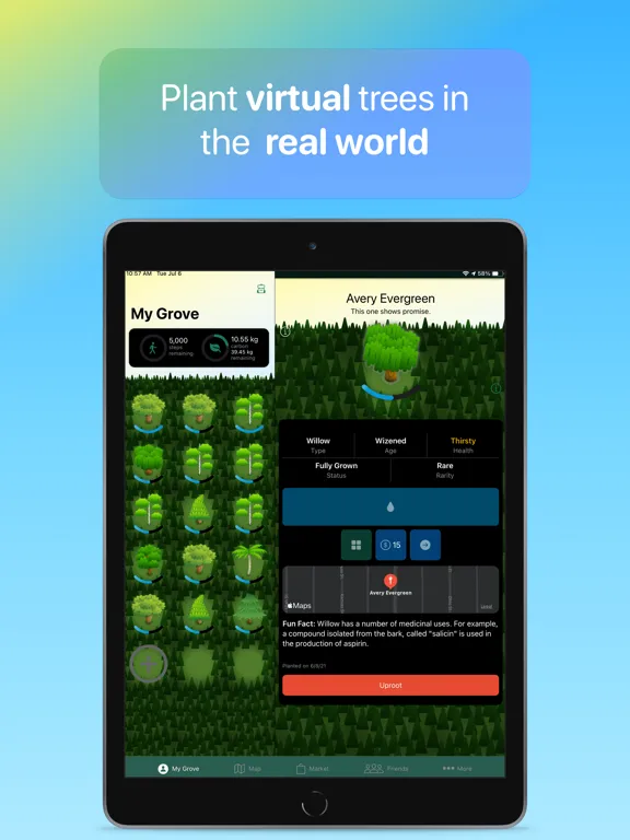 Grove — Adopt a Tree iPad  Screenshots