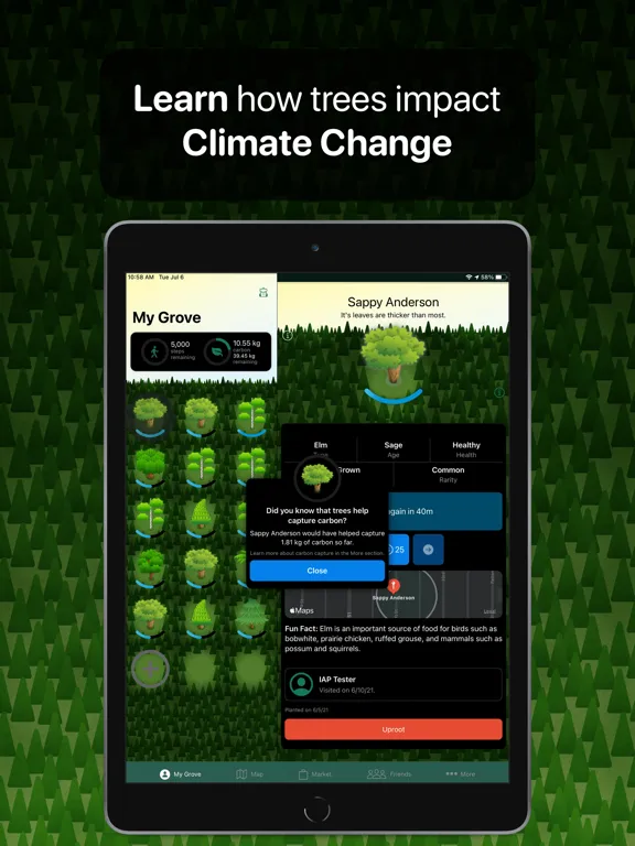 Grove — Adopt a Tree iPad  Screenshots