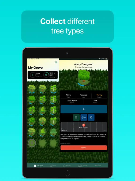 Grove — Adopt a Tree iPad  Screenshots