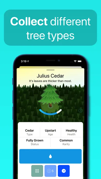 Grove — Adopt a Tree Screenshots