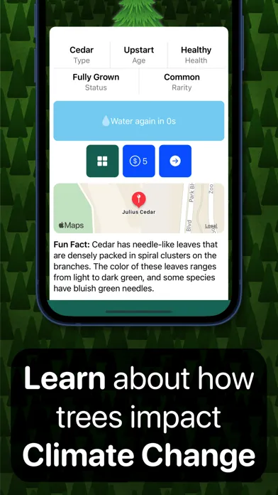 Grove — Adopt a Tree Screenshots