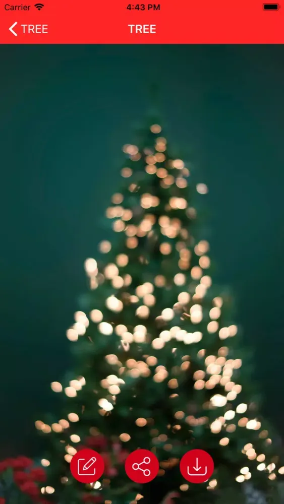 Скриншоты Christmas Wallpapers & Images