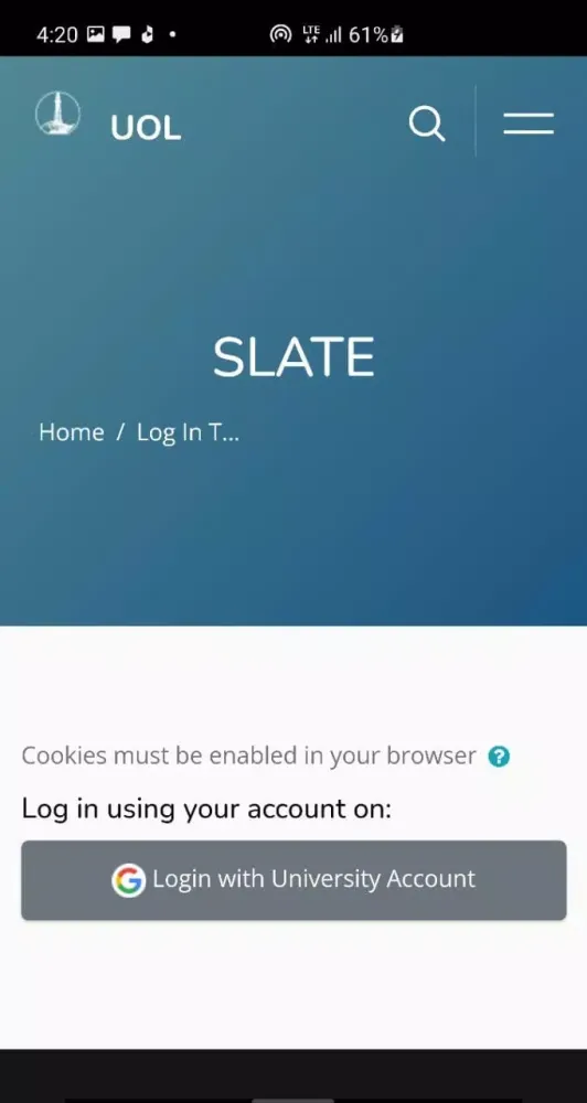 Screenshot di Slate Uol