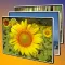 Slideshow 3D