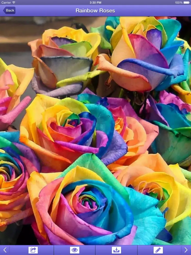 Скриншоты Flowers HD Wallpapers iPad 