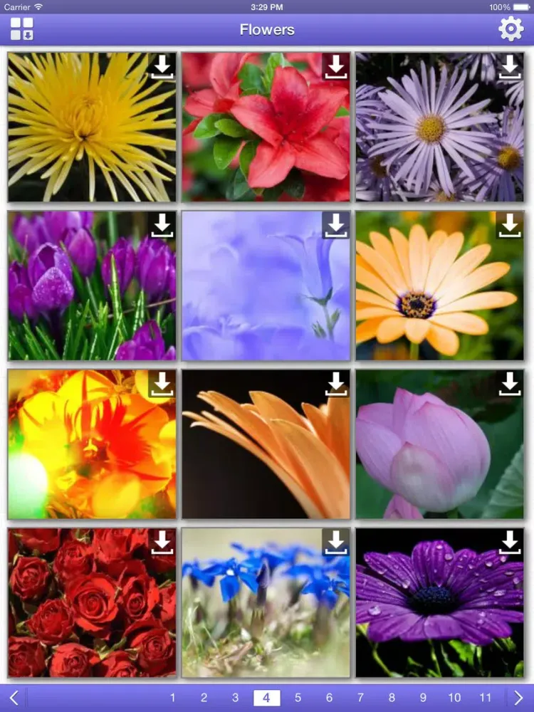 Скриншоты Flowers HD Wallpapers iPad 