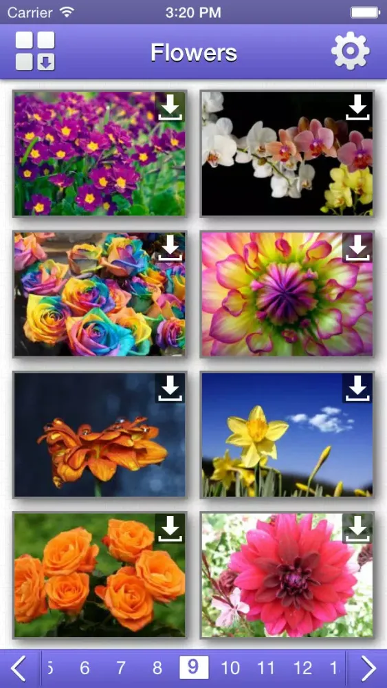 Скриншоты Flowers HD Wallpapers