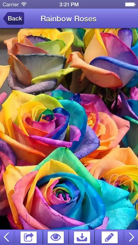 Скриншоты Flowers HD Wallpapers