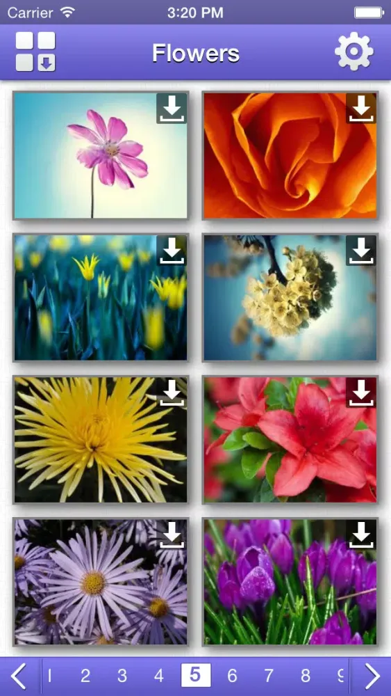 Скриншоты Flowers HD Wallpapers