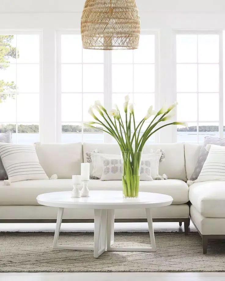 Living Room Couches Screenshots