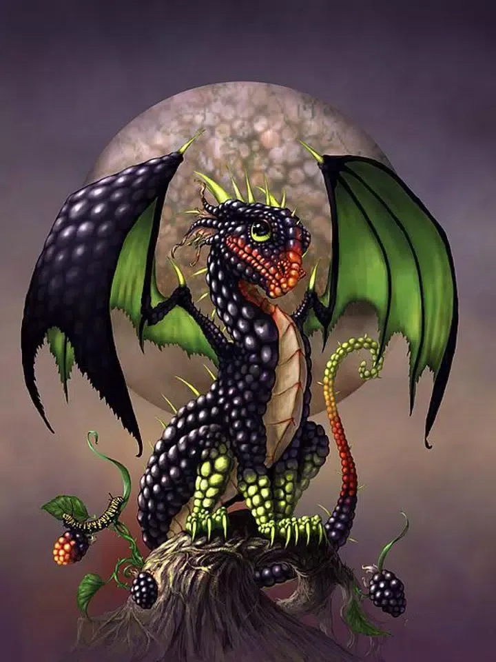 Dragon Jigsaw Puzzles Ekran Görüntüleri