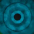 Synapsis