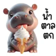 MooDoong adorable baby hippo