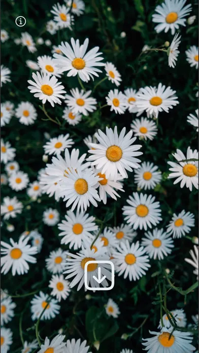 WLPPR - backgrounds wallpapers应用截图