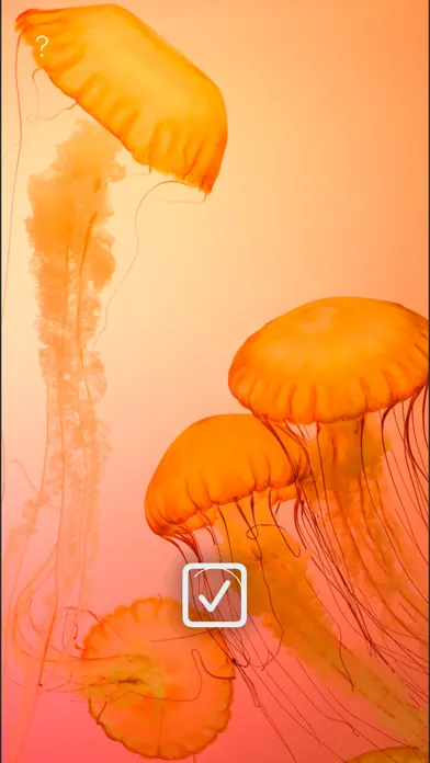 WLPPR - backgrounds wallpapers应用截图