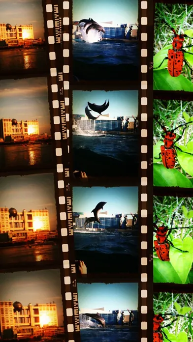 Capturas de tela do SoSoCamera Beauty